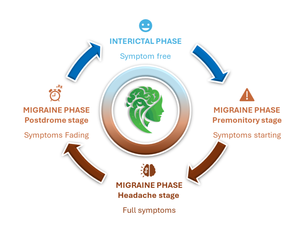 Learn about the distinct phases of a migraine—from premonitory signs to recovery—and how Migraceutics™ offers targeted nutraceutical solutions for each stage.