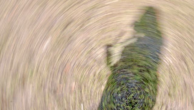 Learn about Vestibular Migraine and how it causes dizziness. Discover natural ways to manage symptoms and find your balance again.